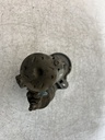 MTD-509927-1