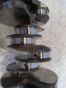 MTD-535295-5