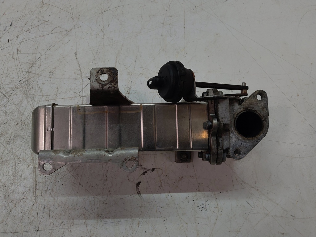 MTD-513754-1