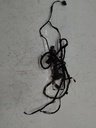 MTD-515080-4