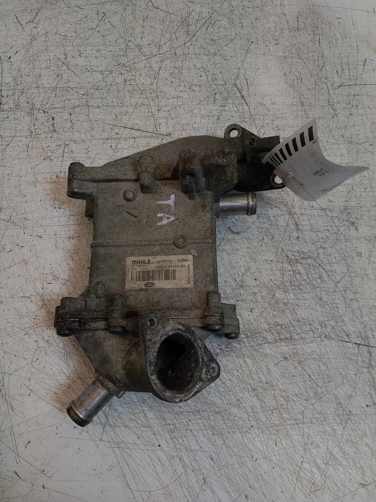 MTD-515311-1