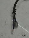 MTD-515888-1