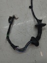 MTD-515919-1