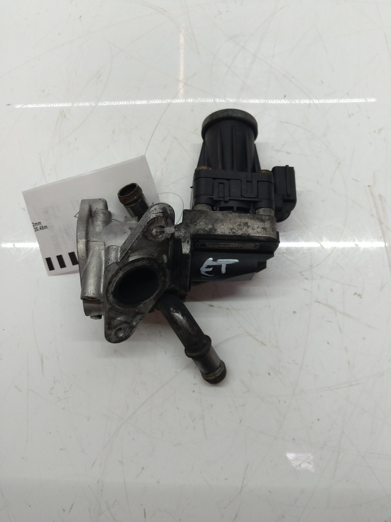 MTD-516069-1