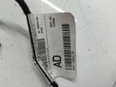 MTD-516302-1
