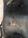MTD-516469-1