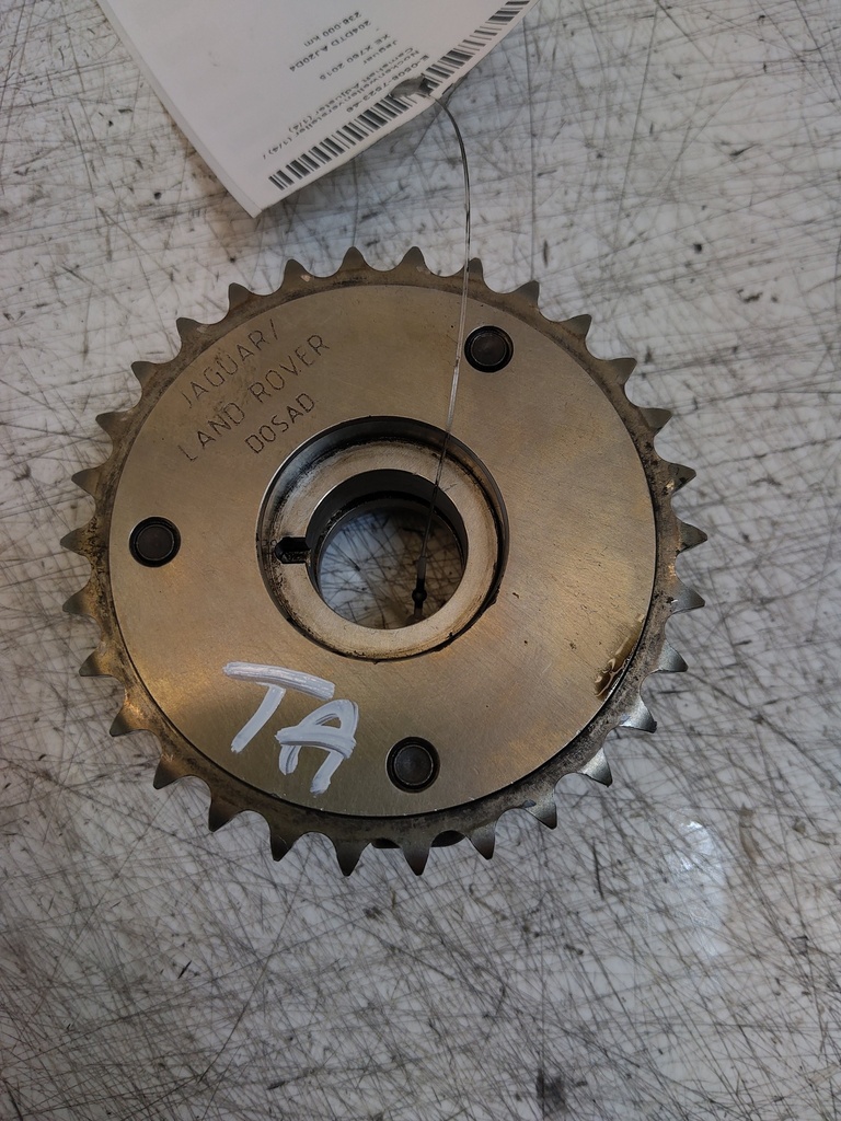 MTD-516559-2