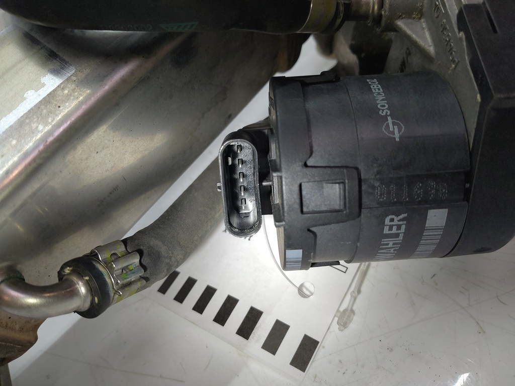 MTD-516808-1