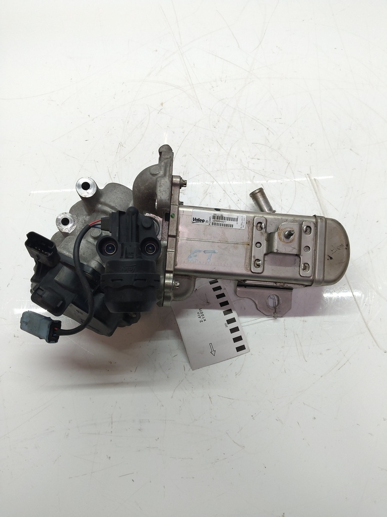 MTD-516829-1