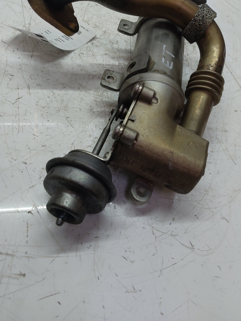 MTD-517561-2