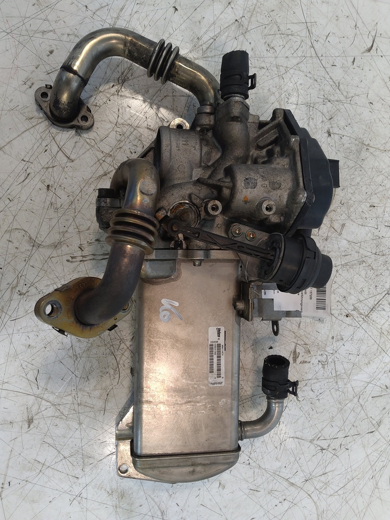 MTD-532648-1
