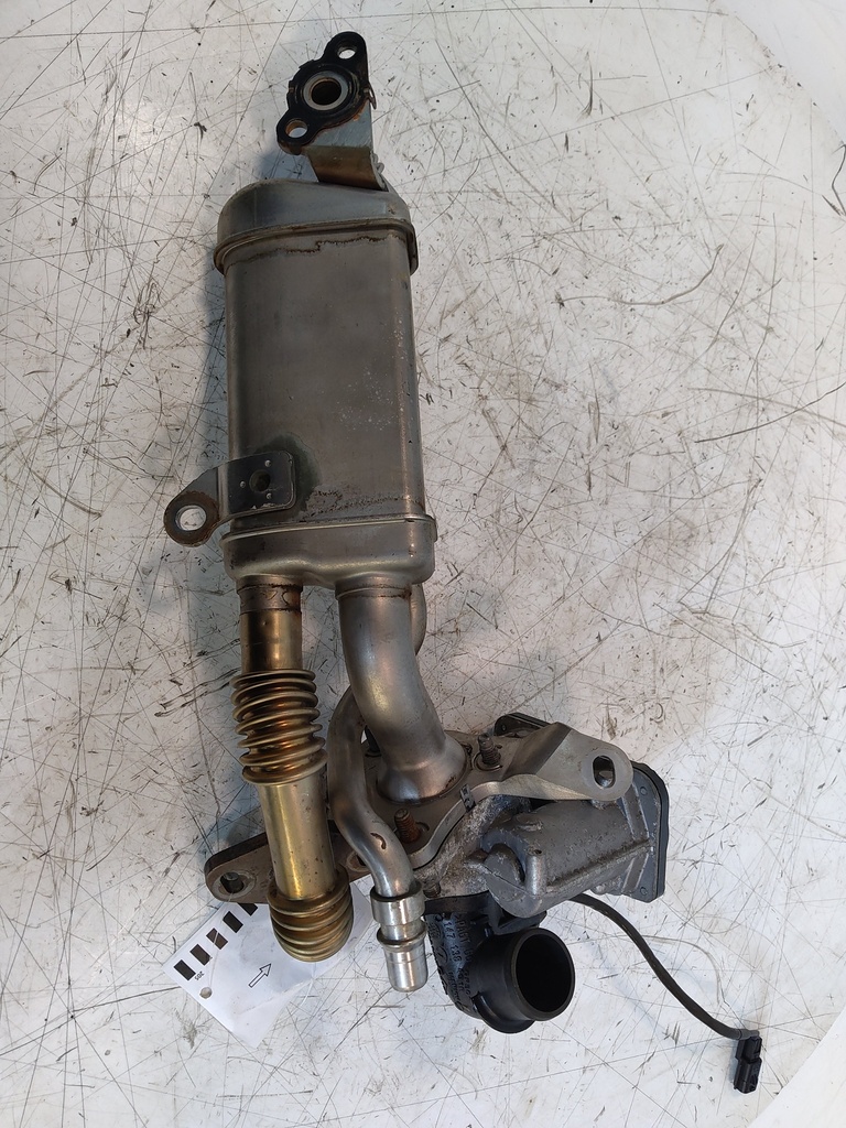 MTD-534727-1