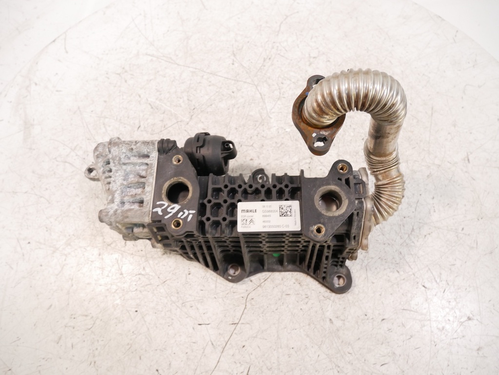 MTD-443366-1