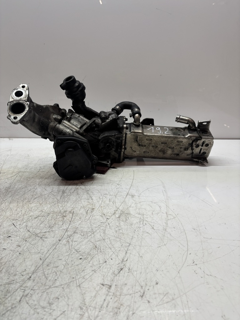 MTD-484303-1