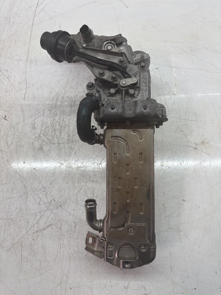 MTD-448088-1