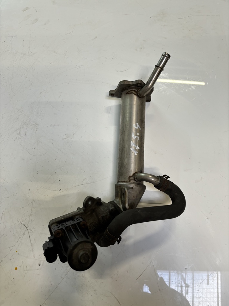 MTD-447922-1
