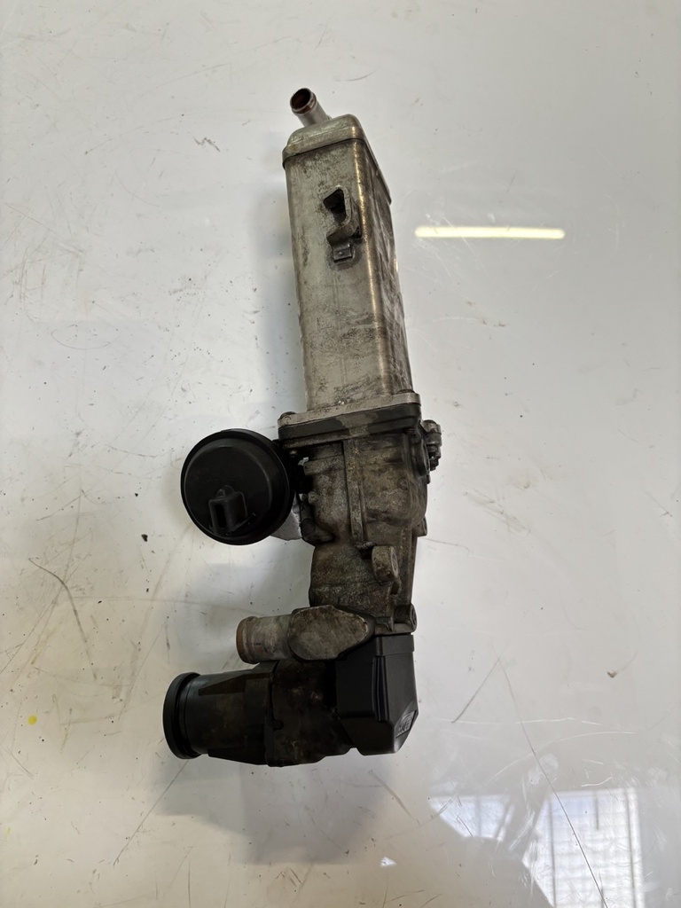 MTD-447926-1