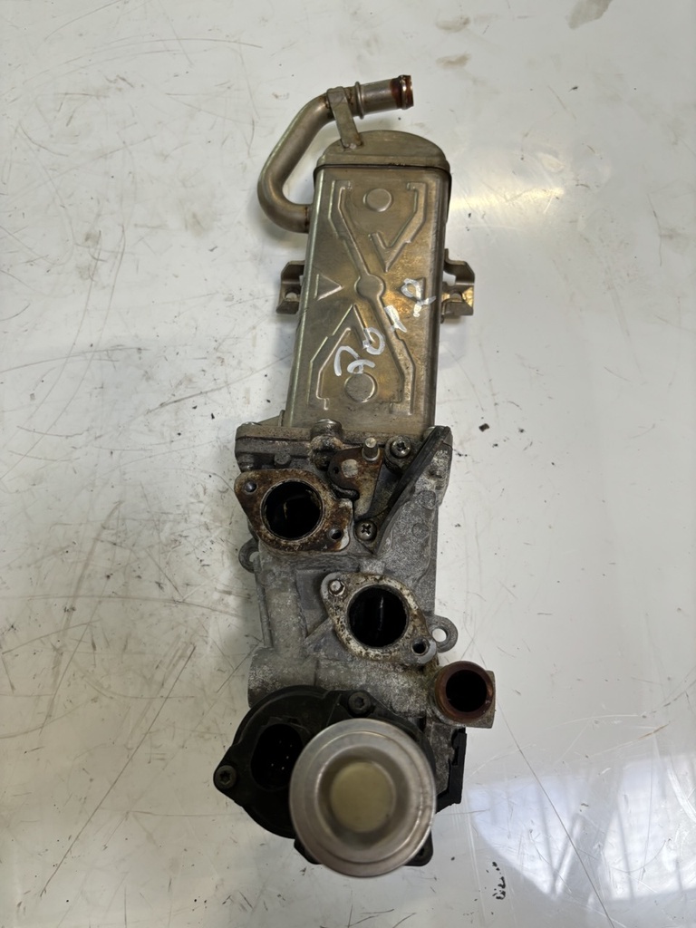 MTD-448995-1