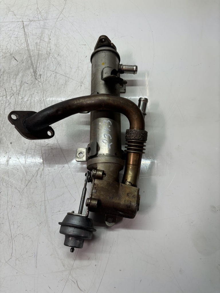 MTD-449913-1
