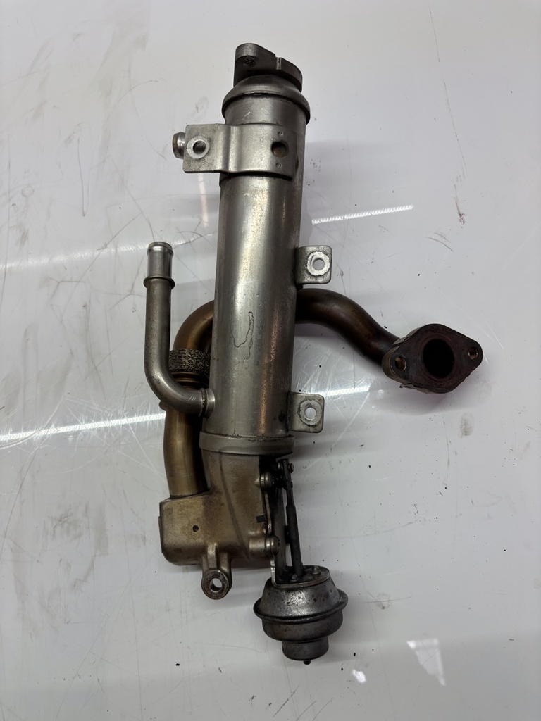 MTD-455506-1