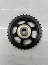 MTD-501902-1