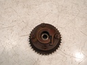 MTD-502317-1