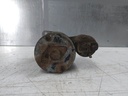 MTD-529967-1