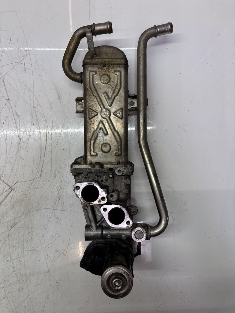 MTD-458664-1