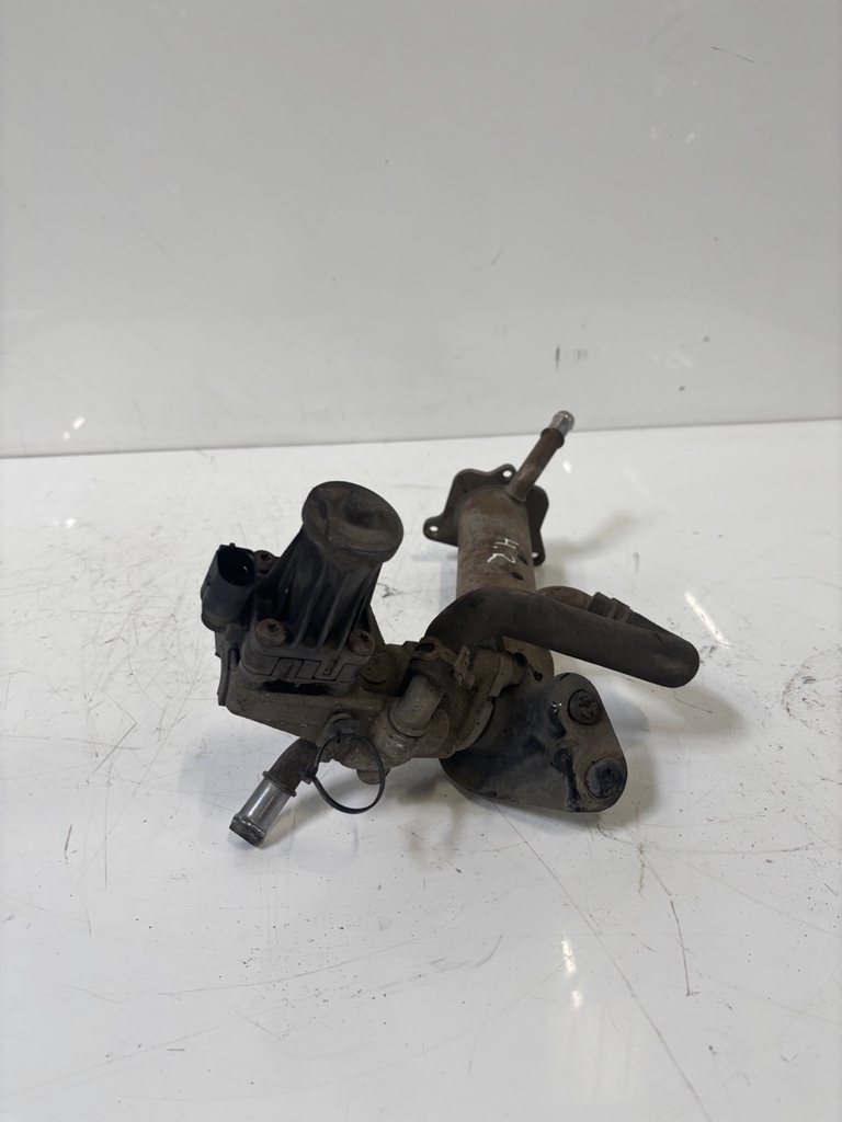 MTD-459484-1
