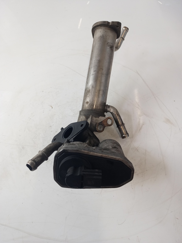 MTD-431365-1
