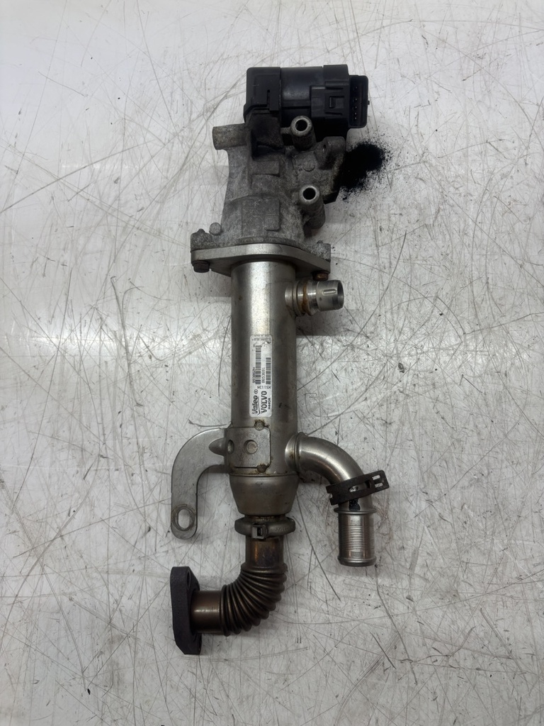 MTD-493202-1