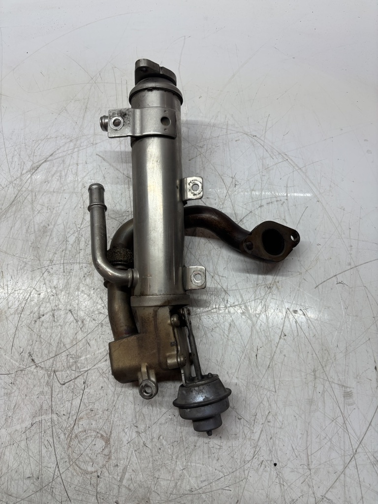 MTD-493198-1