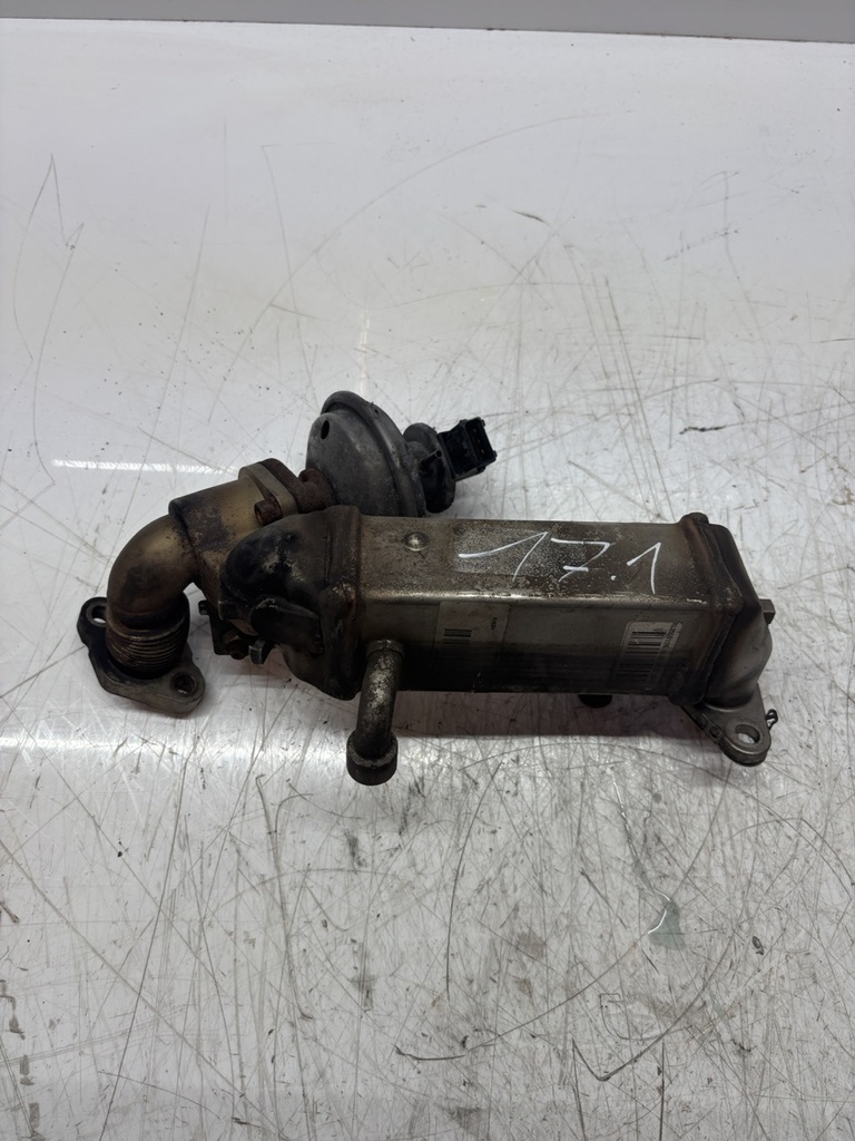 MTD-493299-1
