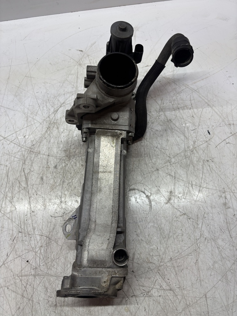 MTD-493375-1
