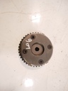 MTD-446055-1