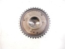 MTD-446056-1