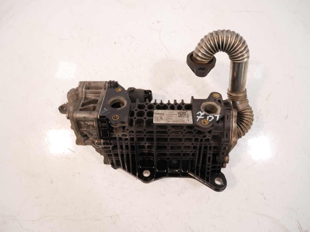 MTD-446926-1