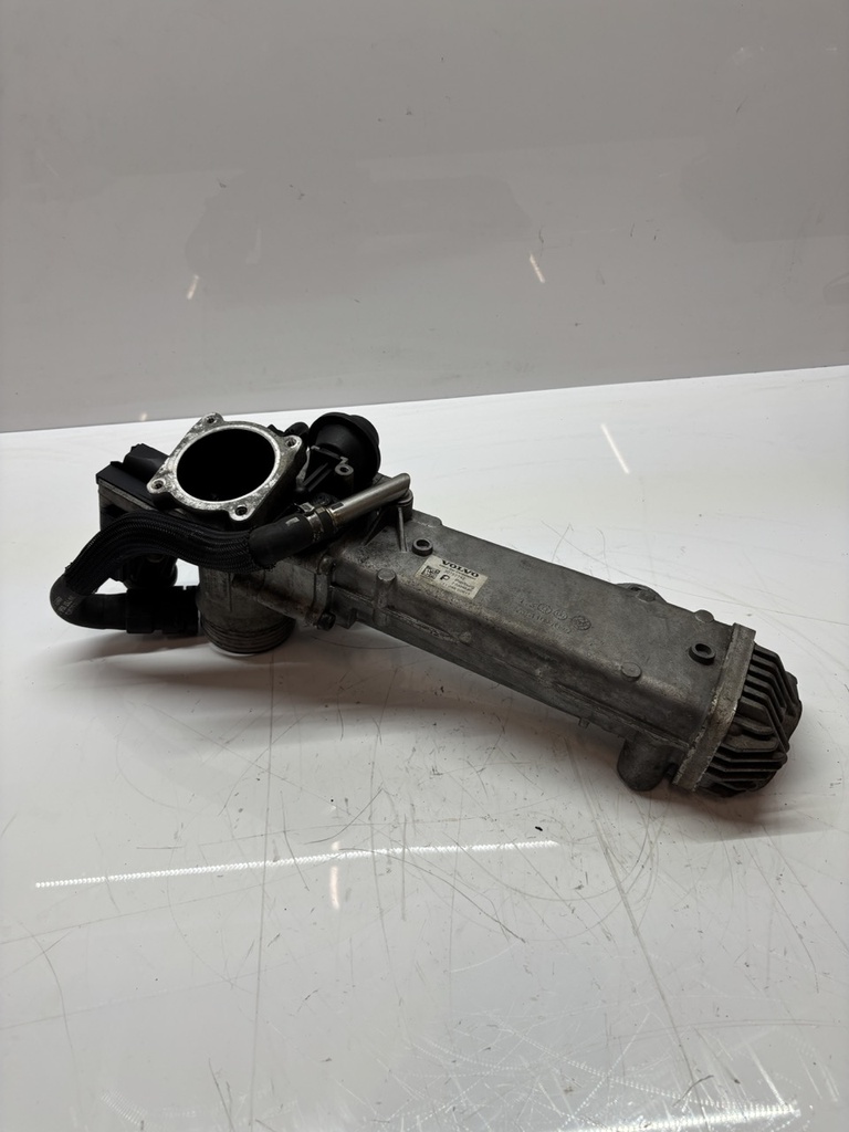 MTD-495524-1