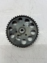 MTD-497516-1