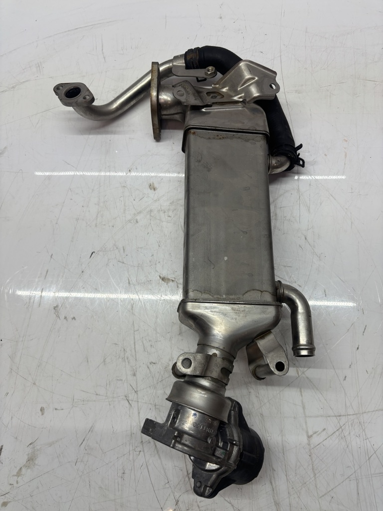 MTD-499534-1