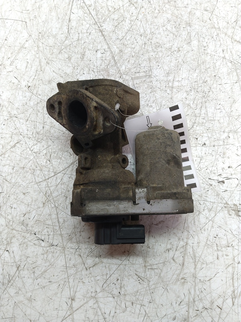 MTD-531196-1