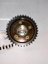 MTD-534608-1