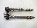 MTD-353646-1