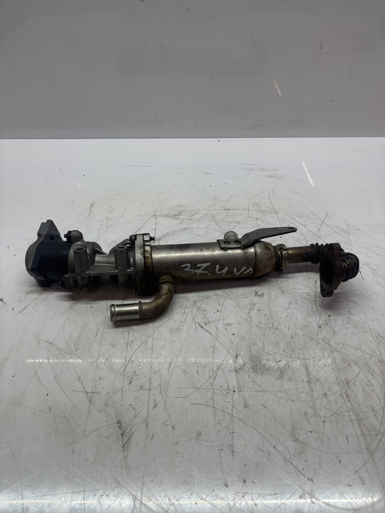 MTD-497131-2
