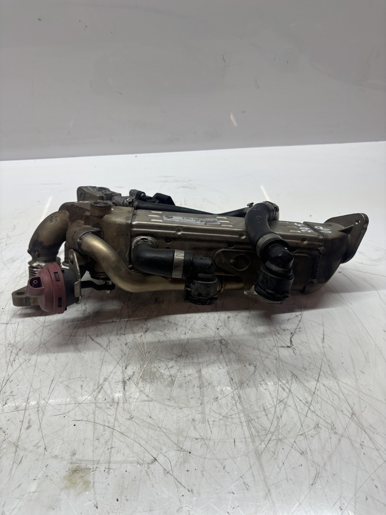 MTD-497145-1