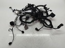MTD-517068-1
