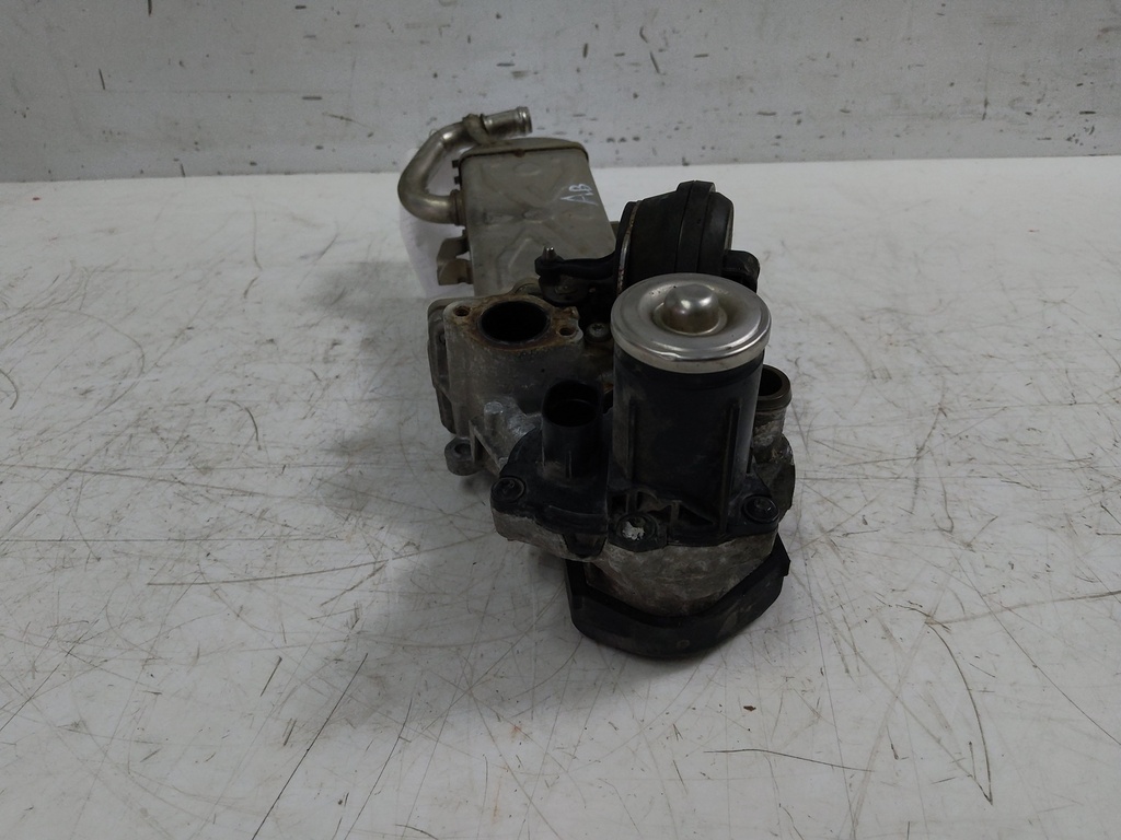 MTD-517384-1