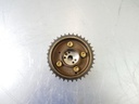 MTD-424031-1