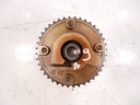 MTD-389683-1
