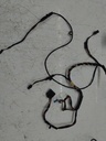 MTD-516689-3